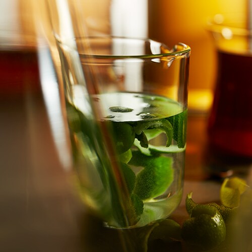 экстракт лаймового чая